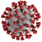 image 01 coronavirus